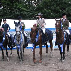 Tysk Oldenburger Cyro