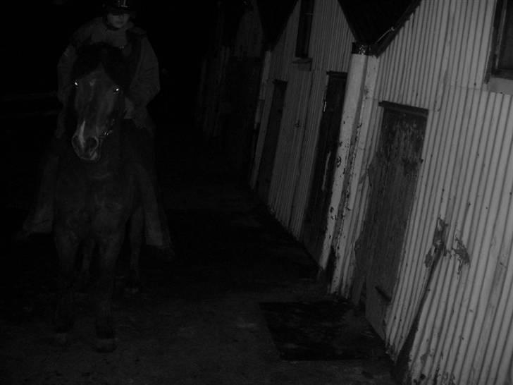 Islænder Erró billede 6