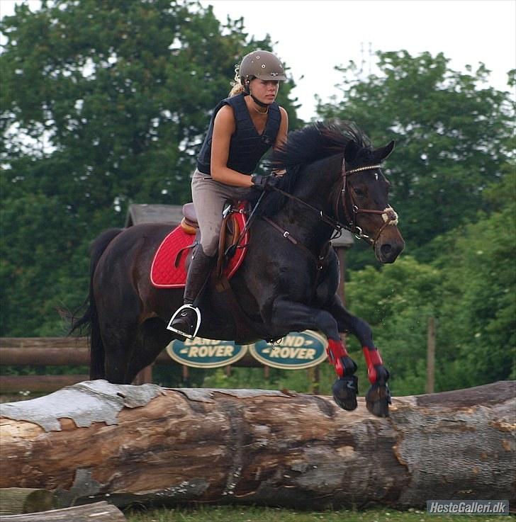 DSP Samara Spring pony - Samara & Mette Louise Andresen Military kursus Sønderskov 2010. billede 17