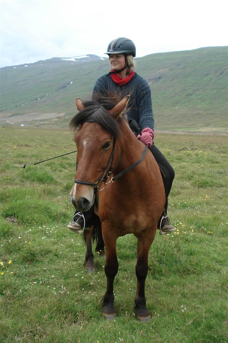 Islænder Erró billede 9