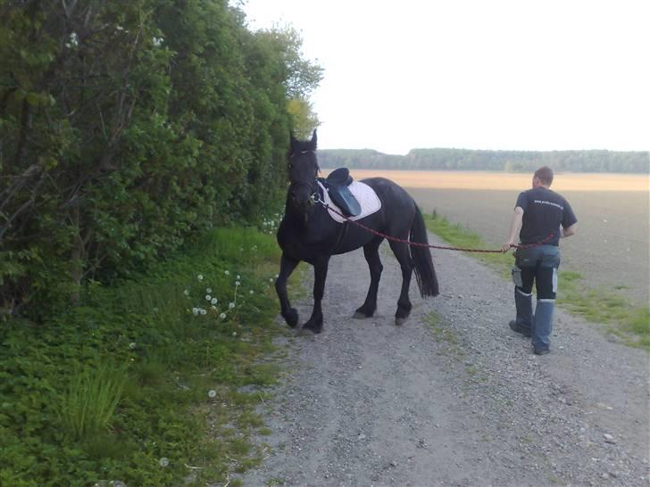Frieser maike.s "solgt" - maike med sadel på for første gang billede 6