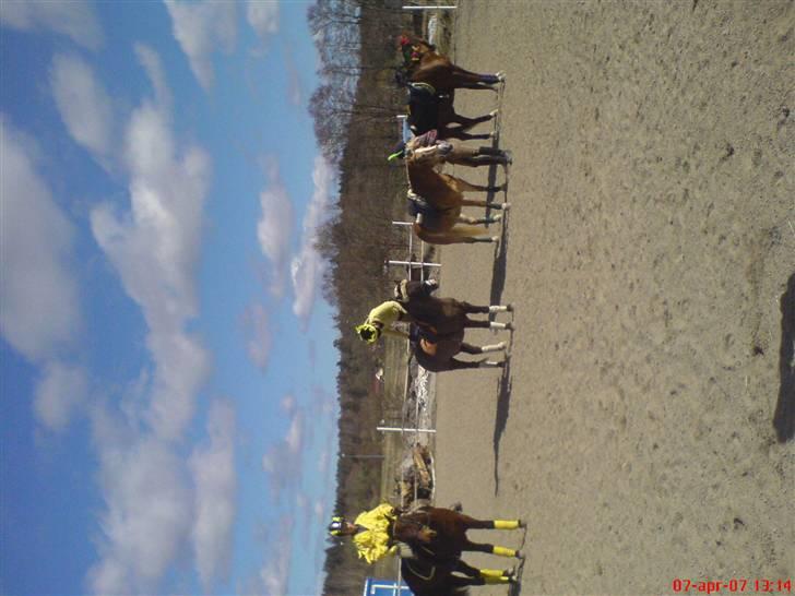 Anden særlig race Push Off billede 10