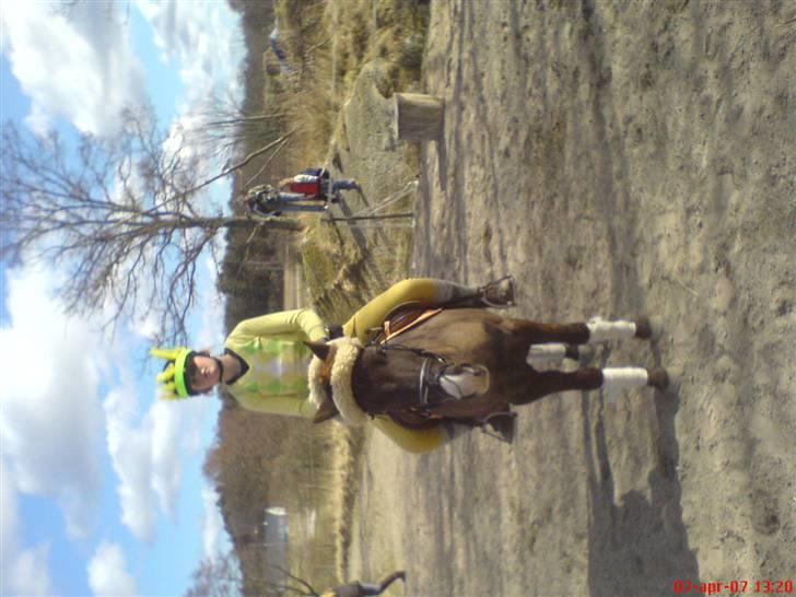 Anden særlig race Push Off billede 11