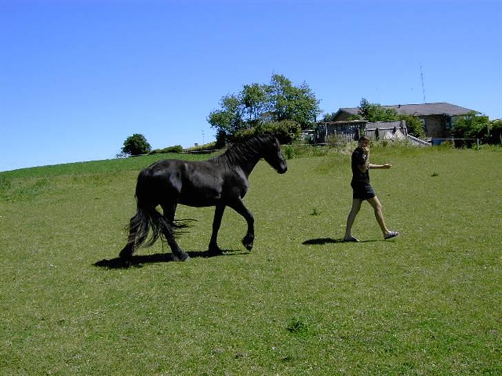 Frieser Lisa Zuidema R.I.P billede 2