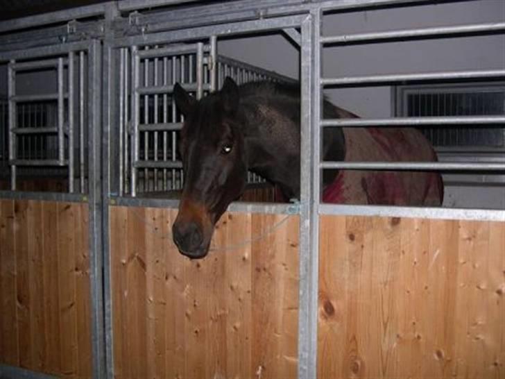 Anden særlig race chick - Ja, jeg er her altså stadig billede 4