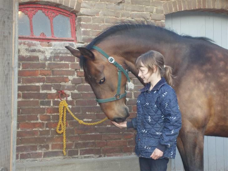 Anden særlig race Kia - mmh. mad. billede 4