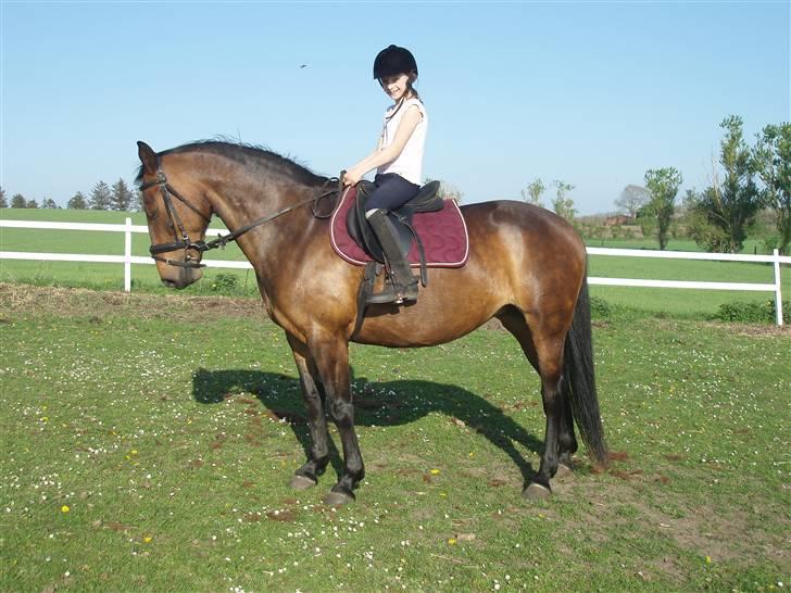 Anden særlig race Kia - Går til biddet billede 14