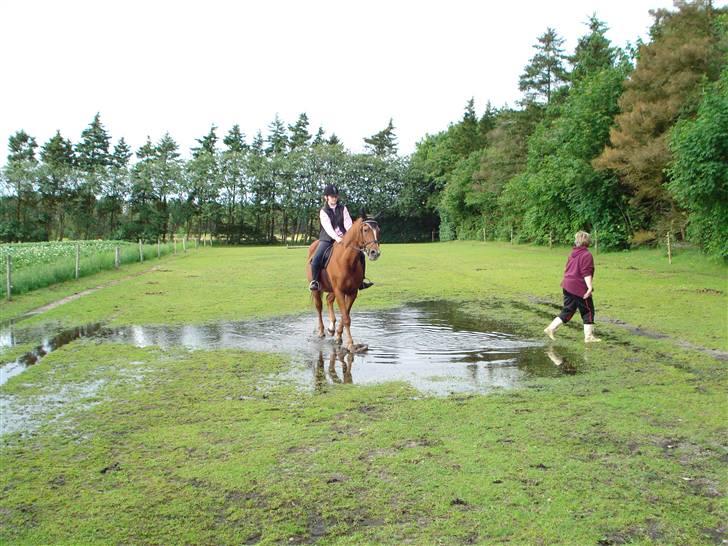 Holstener Prins Kahlagan - Her rider vi igennem magasindammen ;D haha billede 10