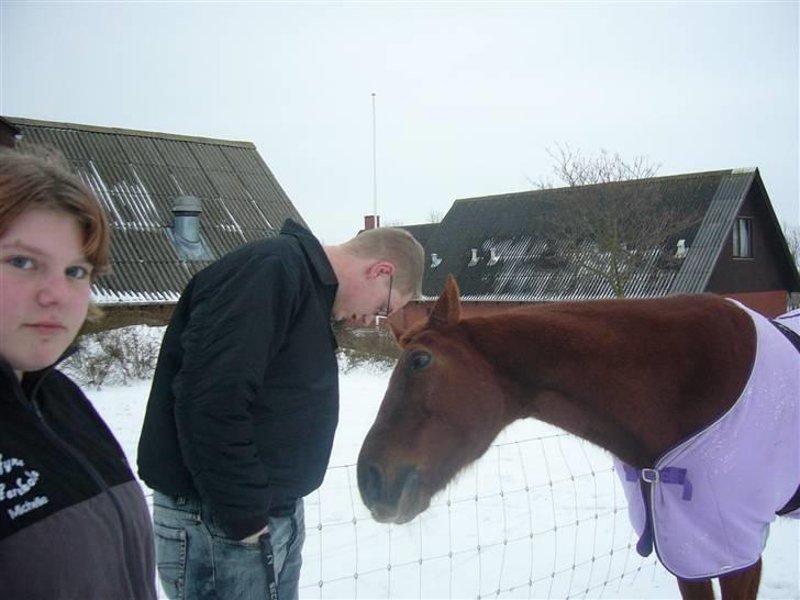 Traver Nuggi Weissmann *R.I.P.* - utrolig nysgerrig eller? billede 2