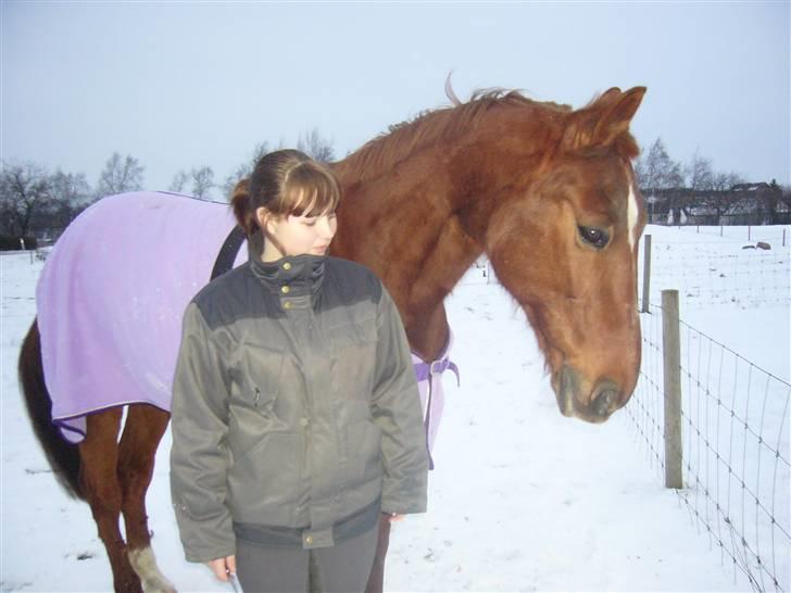 Traver Nuggi Weissmann *R.I.P.* - hvad laver du? billede 3