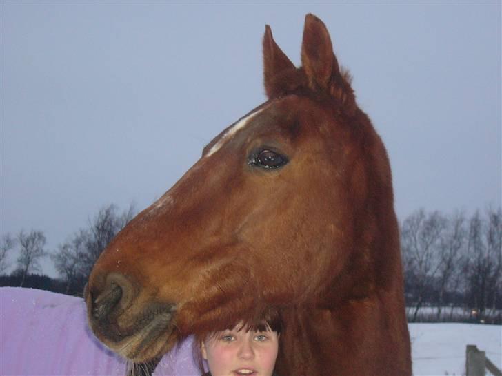 Traver Nuggi Weissmann *R.I.P.* billede 6