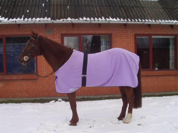 Traver Nuggi Weissmann *R.I.P.* billede 8