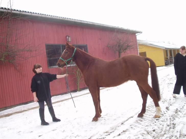 Traver Nuggi Weissmann *R.I.P.* billede 9