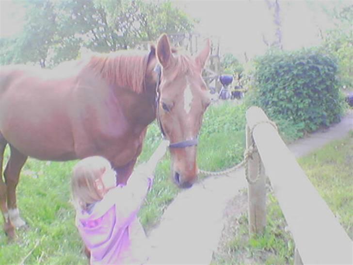 Traver Nuggi Weissmann *R.I.P.* billede 12