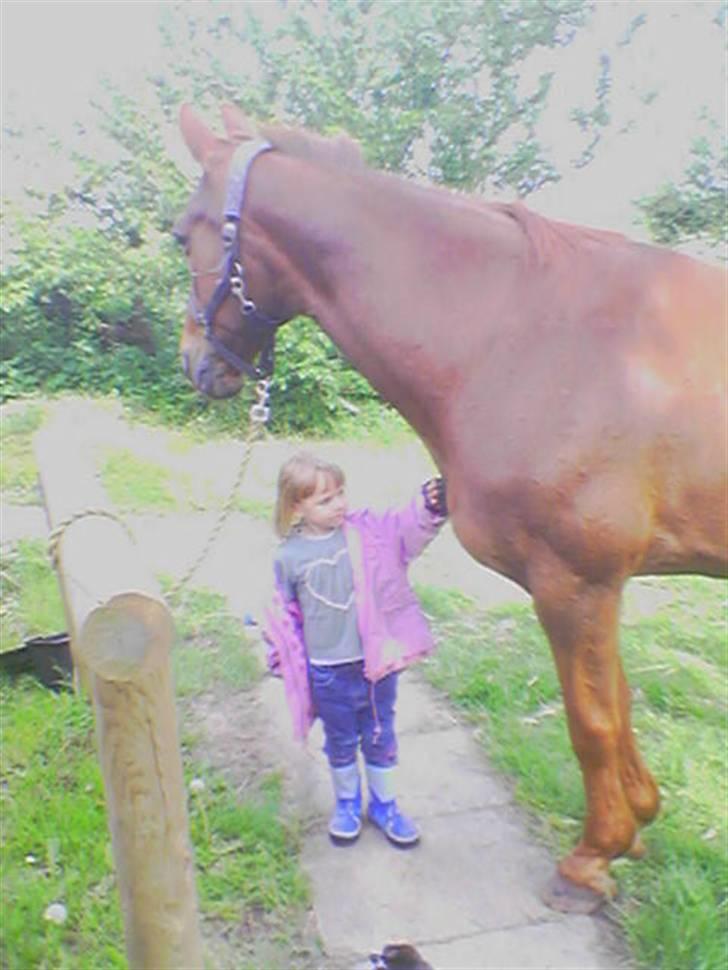 Traver Nuggi Weissmann *R.I.P.* billede 13