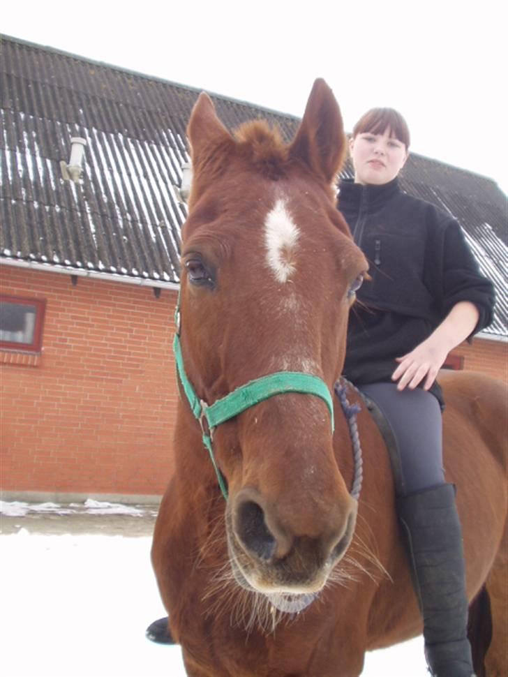 Traver Nuggi Weissmann *R.I.P.* billede 16