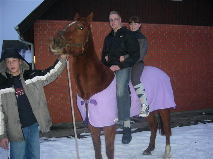 Traver Nuggi Weissmann *R.I.P.* billede 18