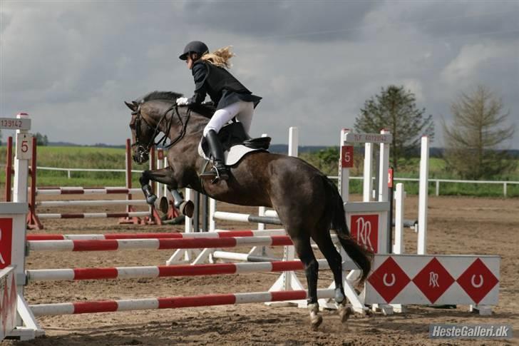 Anden særlig race » Elvis R.I.P - 3 ¬ LC ØRSR 24 Aug 2008. Malene Markmann billede 3