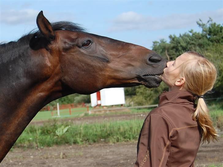 New Forest Prins Albert - Søde prins ;) <3 foto: Trine<3 billede 5