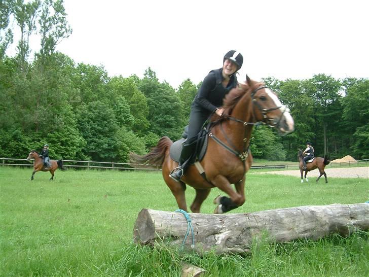 Sportsaraber (A) Vestergaard Emmi (R.I.P.) billede 3