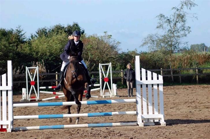 Anden særlig race » Elvis R.I.P - 5 ¬ LD SVEJ 28 Sep 2008 billede 5