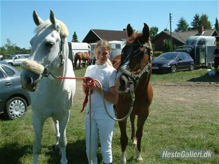 Sportsaraber (A) Vestergaard Emmi (R.I.P.) billede 4