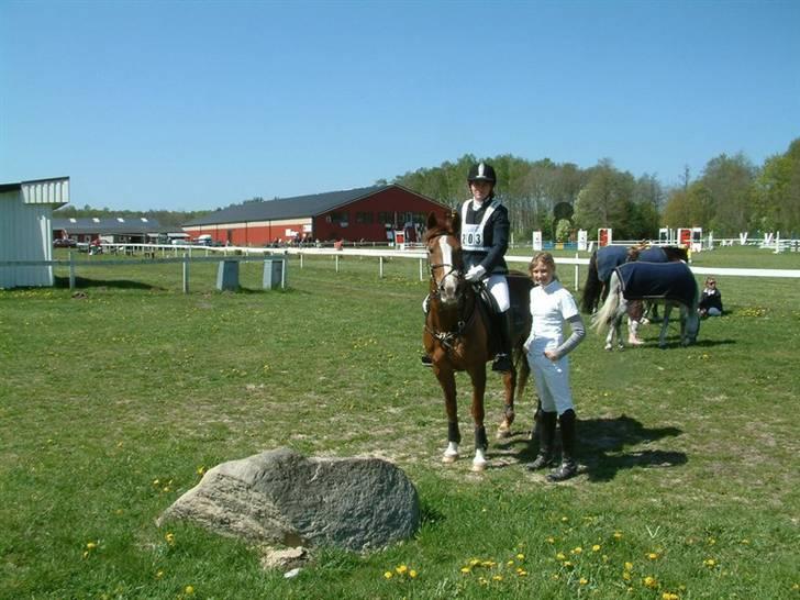 Sportsaraber (A) Vestergaard Emmi (R.I.P.) billede 14