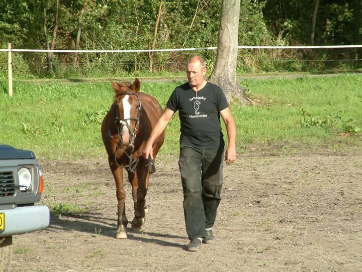 Sportsaraber (A) Vestergaard Emmi (R.I.P.) billede 18