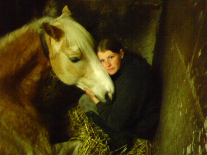 Haflinger sander (Gl. part) - det er mig og sander, nårh du er så sød sander:D<´3 billede 1