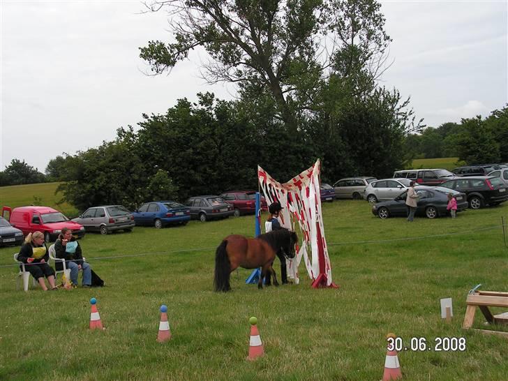 Shetlænder Mr. Brown (Bruno) - 29.06.08 Sommerferie-start-stævne. Agility, Igennem en plastic port. billede 7