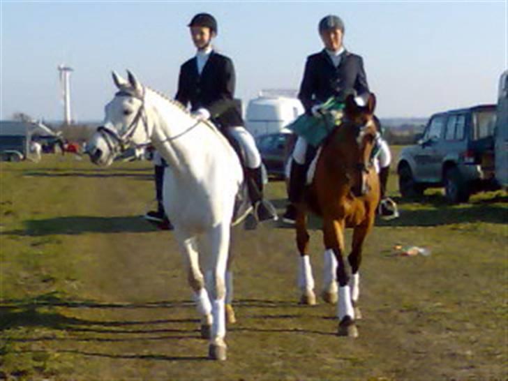 Anden særlig race Leandro - Laffe og Leandro med Amelie og Lise på ryggen billede 8