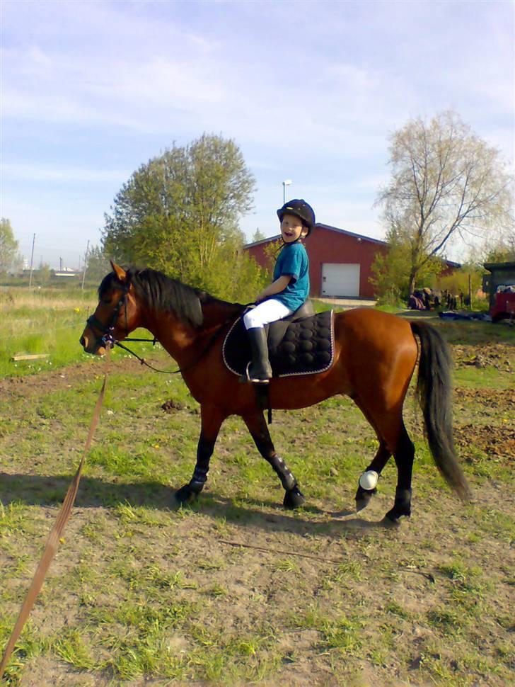 Anden særlig race Pluto  billede 7