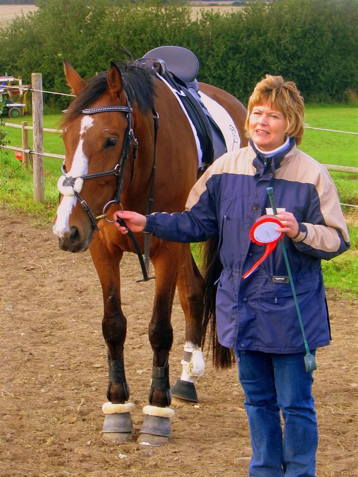 Holstener Lerado billede 3