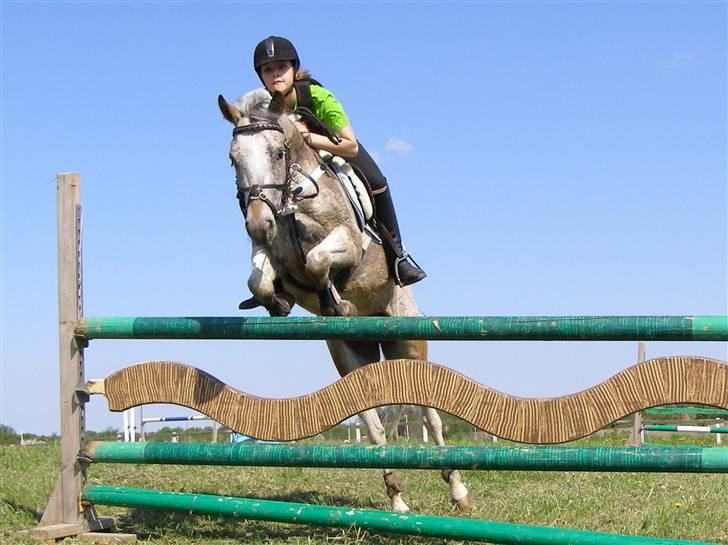 Anden særlig race ozzy <3  - hopla :) ca. 110 :) -  taget af mester fotografen, far/brian leth billede 7
