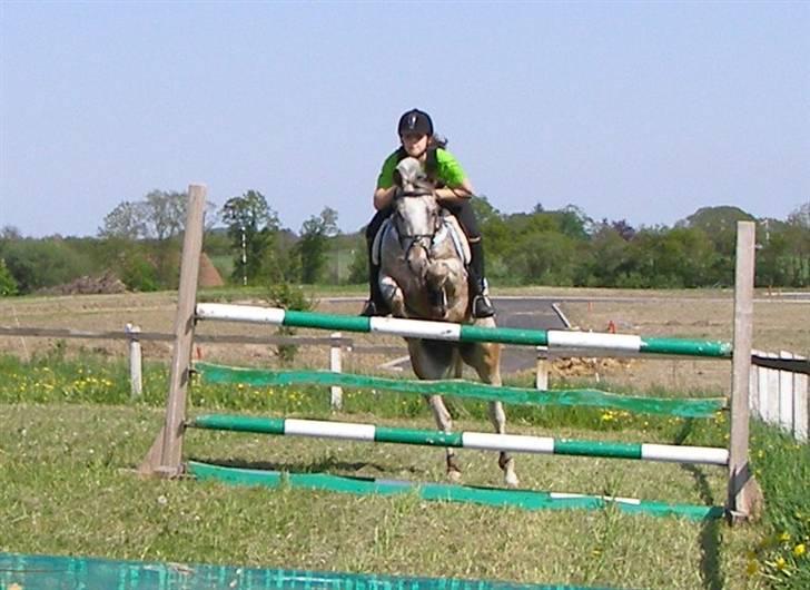 Anden særlig race ozzy <3  - ozzy? jeg elsker dig ! <3 -  taget af mester fotografen, far/brian leth billede 9