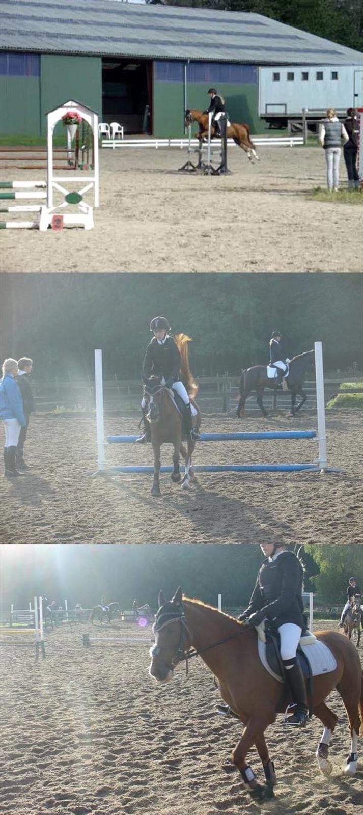 Anden særlig race Lighter <3 - 02#TIL STUTSBORG! Hun var så sød til det stævne! <3 billede 2