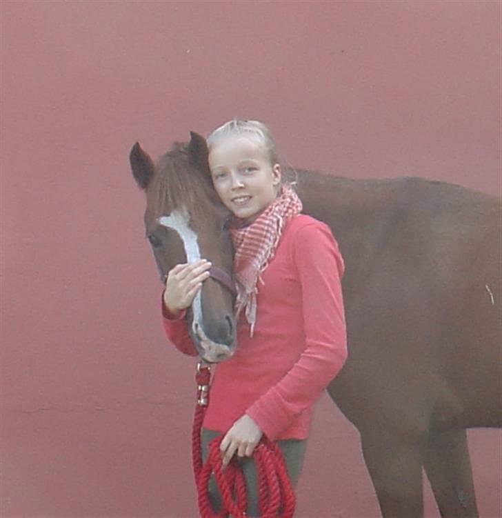 Anden særlig race Lighter <3 - 04# Fordi du betyder alt, og jeg elsker dig, jeg håber det er gengældt! <3 billede 4