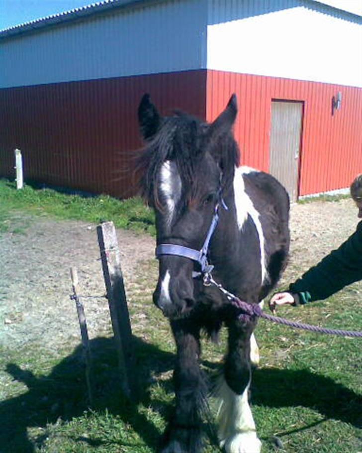 Tinker Thor solgt:-( - mig lave ballede? ej en stor undskyldning. billede 11