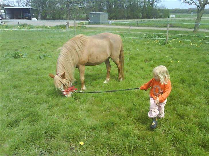 Anden særlig race Blis *Sov godt min pige* - Stump går tur i rotunden med Blis billede 9