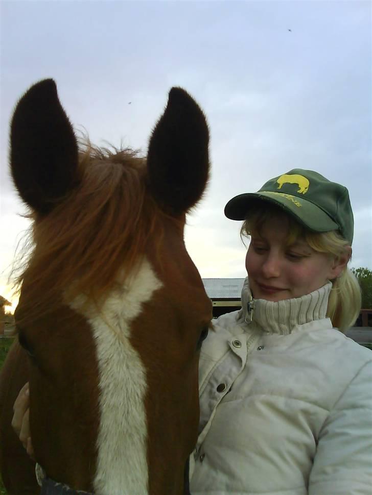 Anden særlig race Stald Amour´s Shana - lidt kvalitets tid mmm billede 10