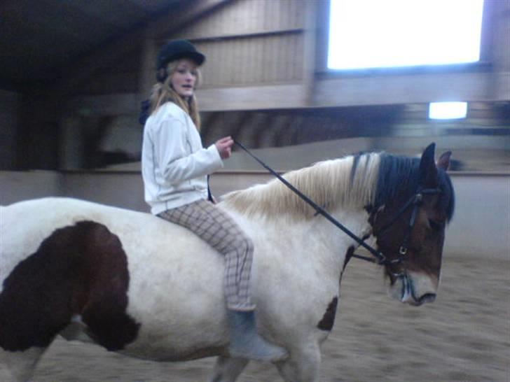 Anden særlig race Toffie SAVNER DIG :'( - Dani på drengen , hva´ laver den hånd der ? Men han går nu meget godt , Dani rider ikke :D Heeh [Foto: Mig] billede 7