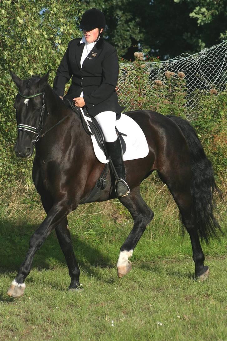 Oldenborg Bøgely´s Magic Star - Til vores aller første stævne 13-09-2008 billede 4