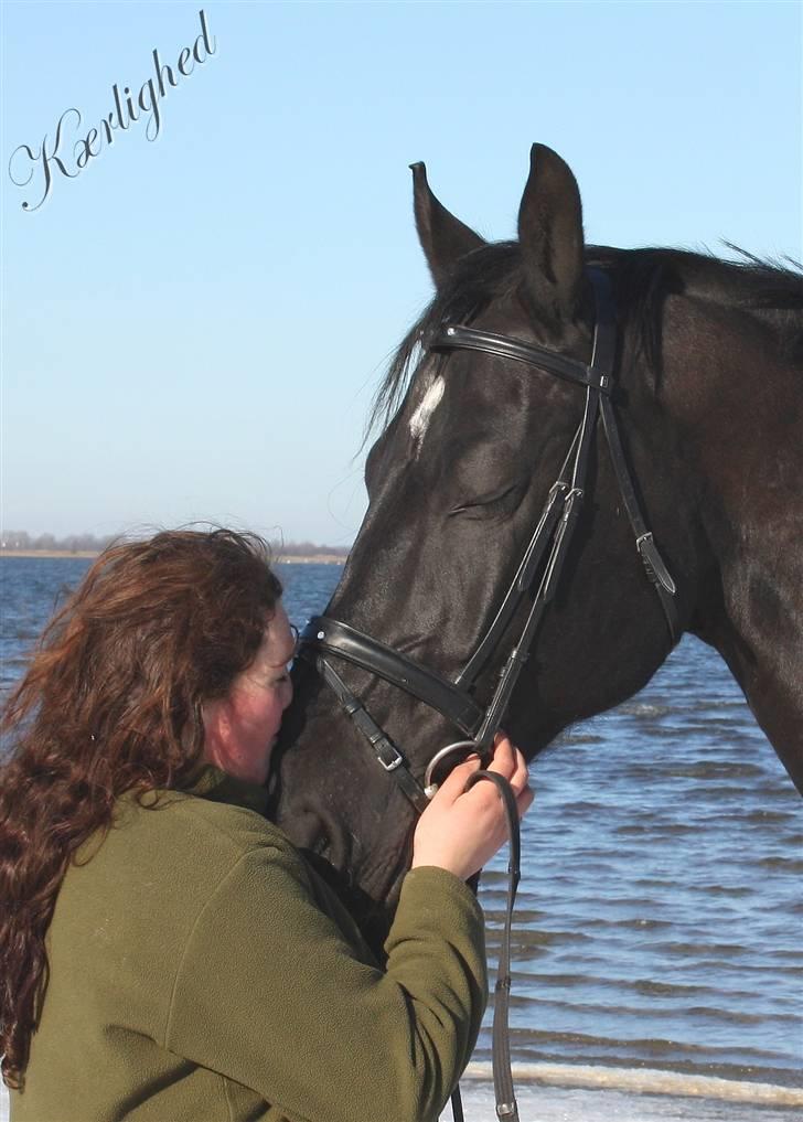 Oldenborg Bøgely´s Magic Star billede 8