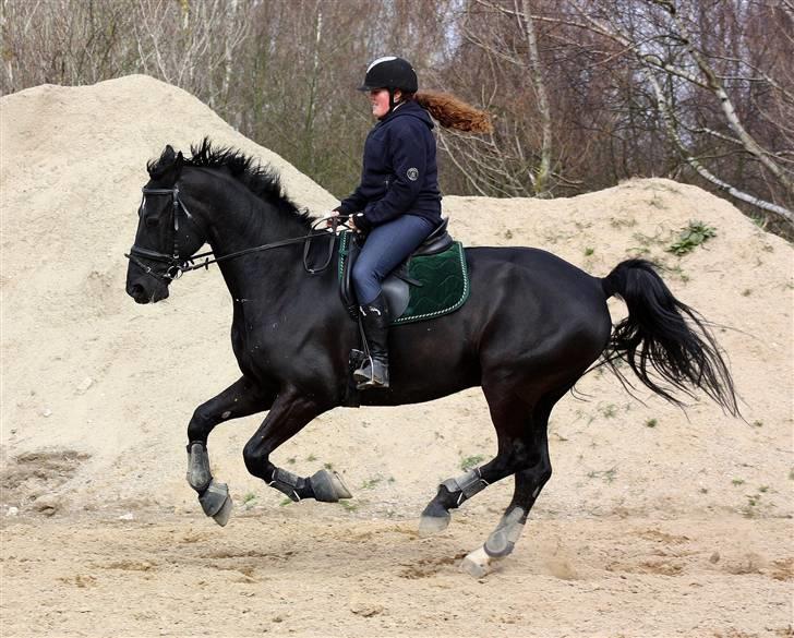Oldenborg Bøgely´s Magic Star - 9 april 2010 billede 11