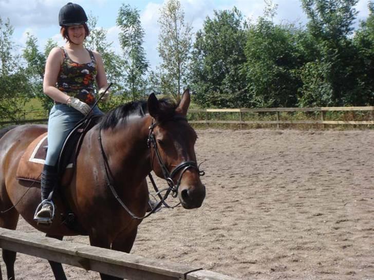 Oldenborg Debbie *gammel part* - 9/7, ride og snakke :b Fotograf: Nina billede 19