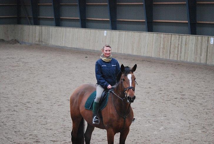 Hollandsk Varmblod Pyroet  billede 3