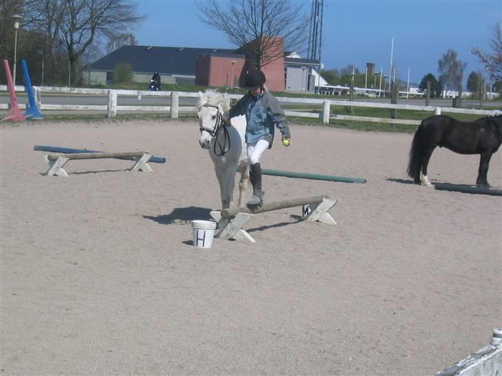 Anden særlig race Cutie Girl - agility vi blev nr 2. :D billede 3