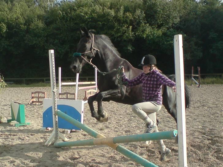 Anden særlig race Malou *Aflivet&Savnet* - Vi leger´ Spring billede 2