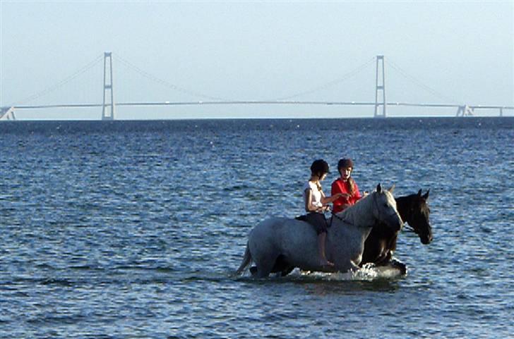 Anden særlig race Malou *Aflivet&Savnet* - Mig og Mahayia bader ved storebælt :) billede 8