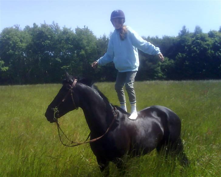 Anden særlig race Malou *Aflivet&Savnet* - Jeg havde kendt dig i 3 uger. -jeg stoler på dig billede 11